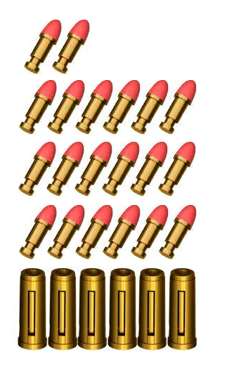 6 SHELLS & 20 BULLETS